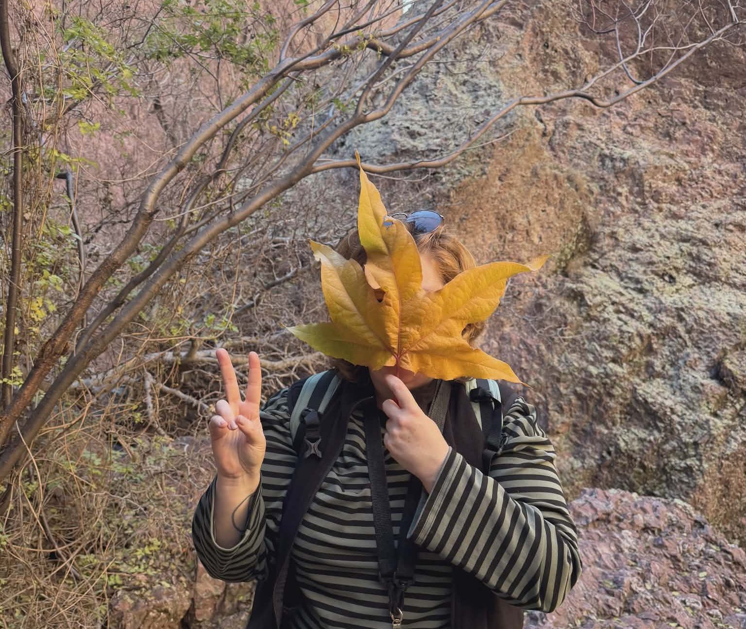 Farewell High Lonesome